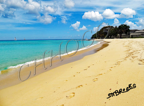 Barbados Beach-01
