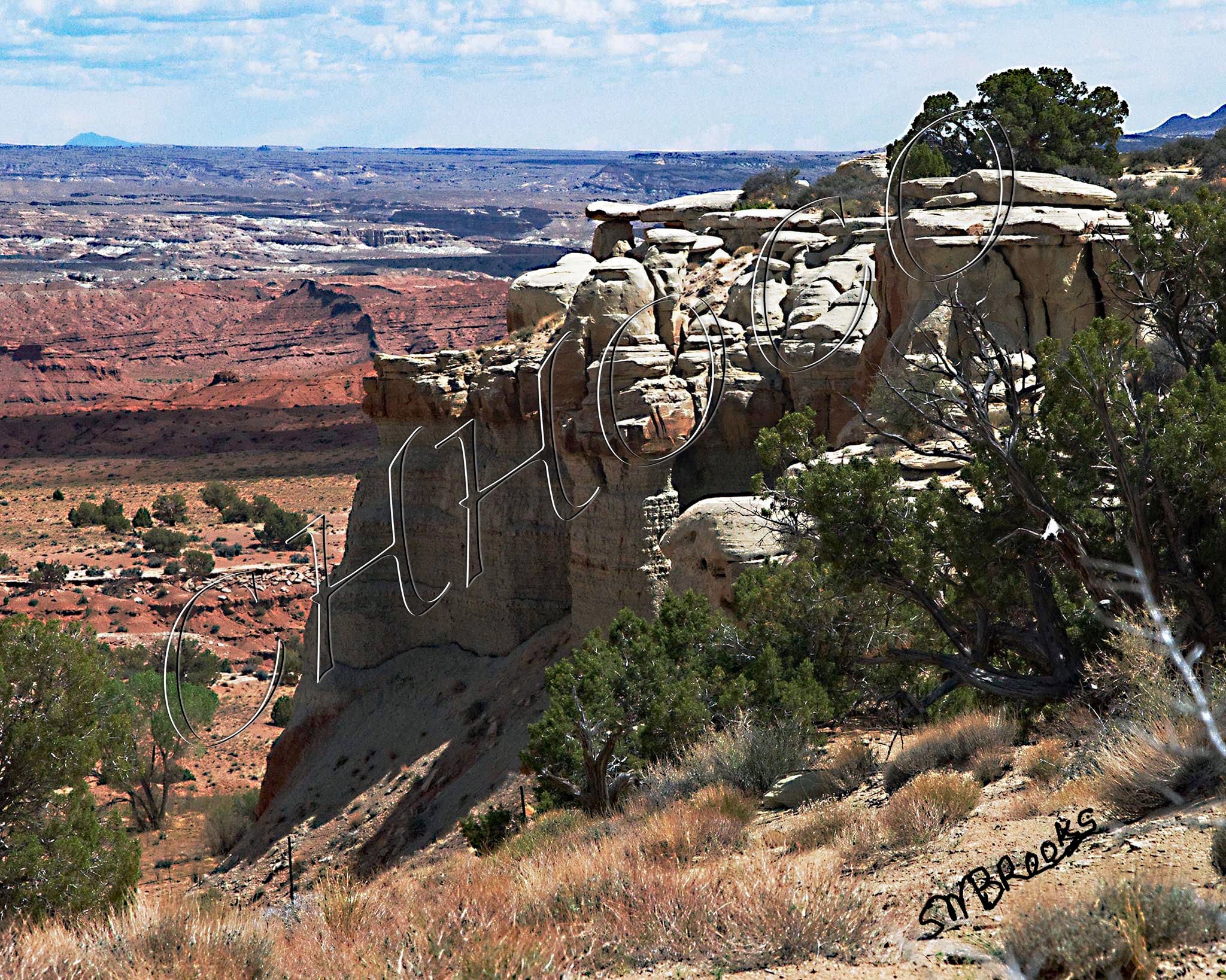 Desert Scene in Utah